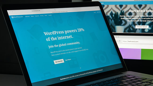 WordPress security