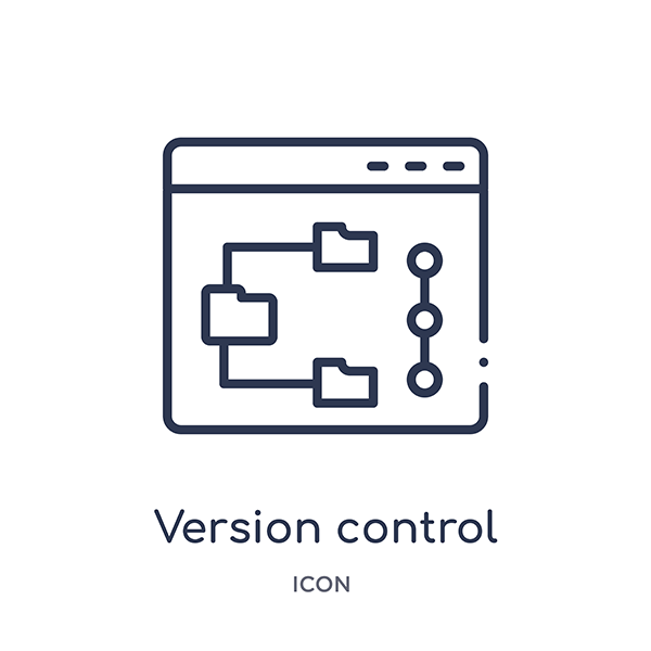 Version control process